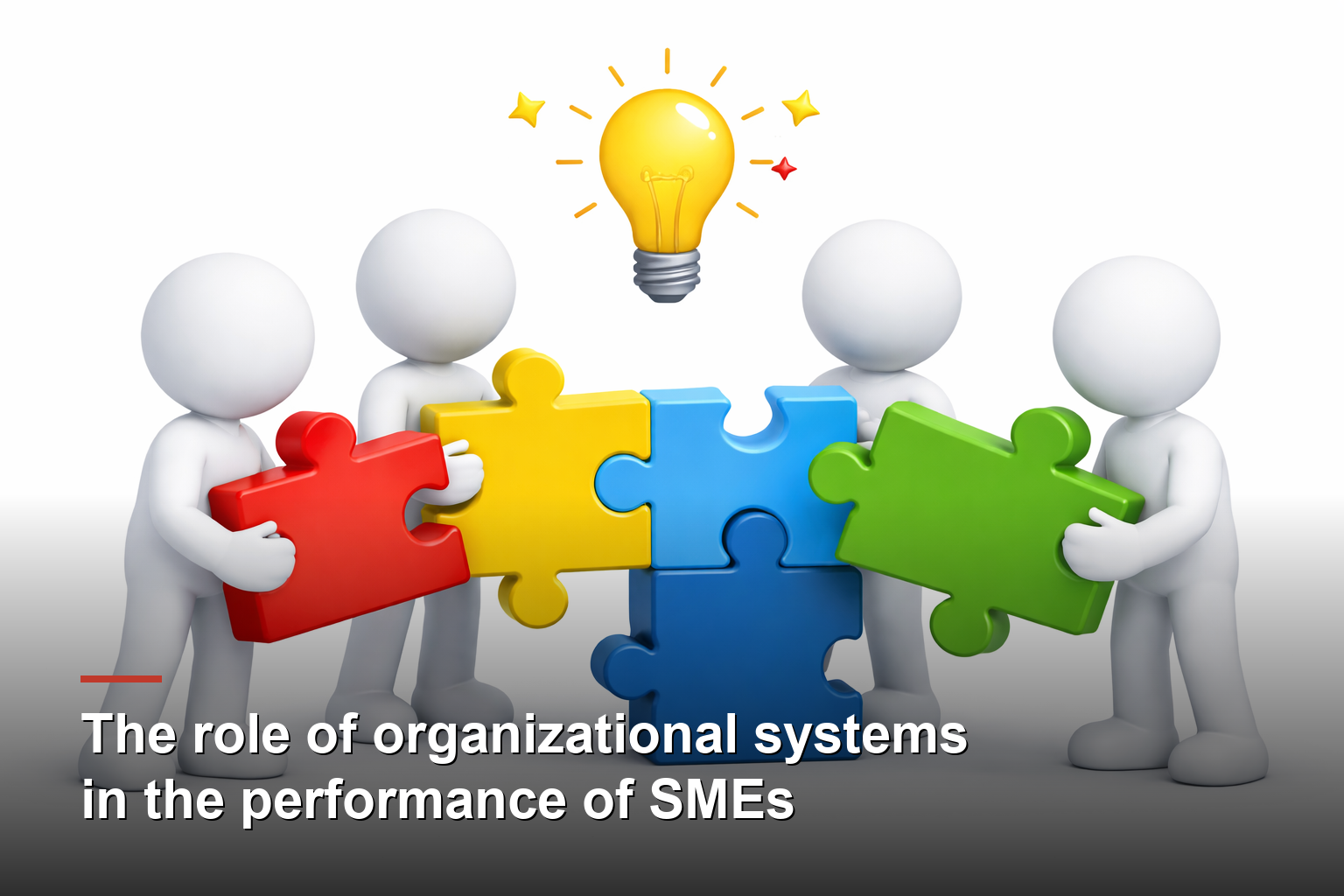 The role of organizational systems in the performance of SMEs